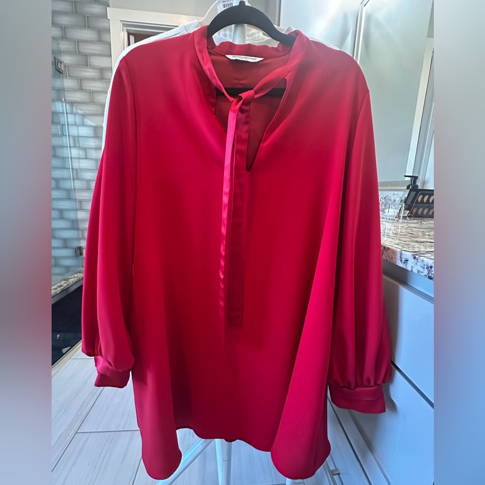 (Video) Red silk Amanda Uprichard dress